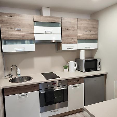 Monica Apartments Panevėžys المظهر الخارجي الصورة